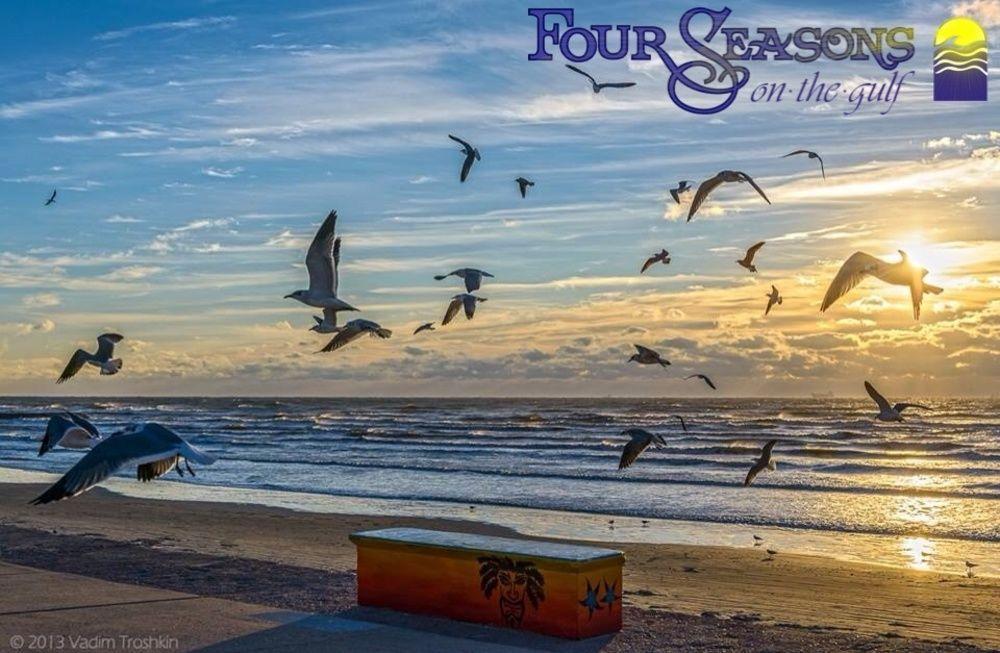فيلا Four Seasons On The Gulf غالفيستون، تكساس المظهر الخارجي الصورة